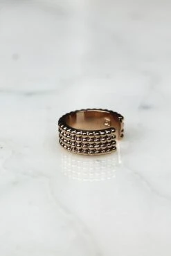 Bague D'oreille Beryn - Plaqué Or