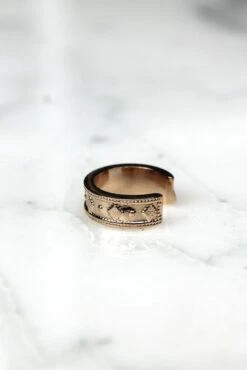 Bague D'oreille Linoa - Plaqué Or