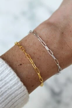 Absolème -Absolème Absoleme bracelet hera or et argent porte