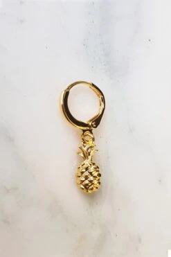 Absolème -Absolème Absolememinicreoleananasor